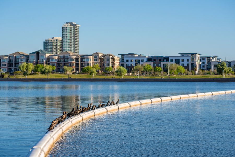 Tempe